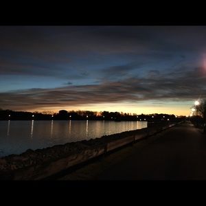 Meet your Posher, Lizzie